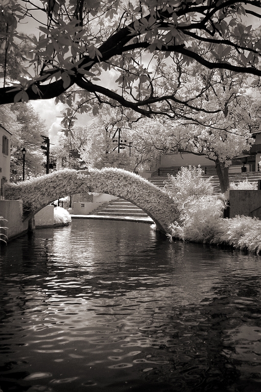 San Antonio Riverwalk 4 San Antonio, TX � Dave Hickey